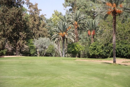 Golf Holidays Morocco:Golf Royal Golf Course fairway
