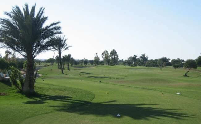 Palm links Golf Course