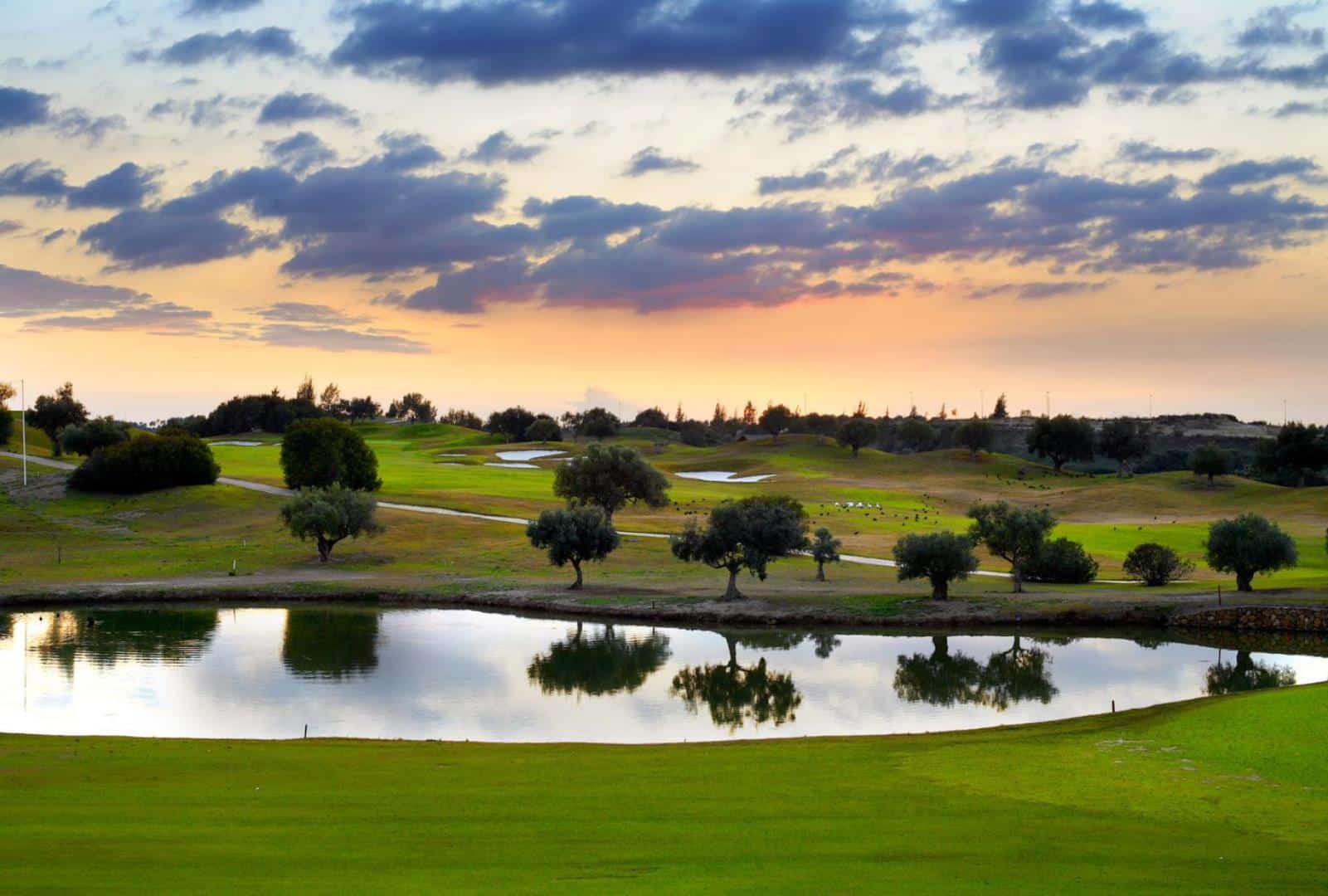 Montecastillo Golf Course - Spain