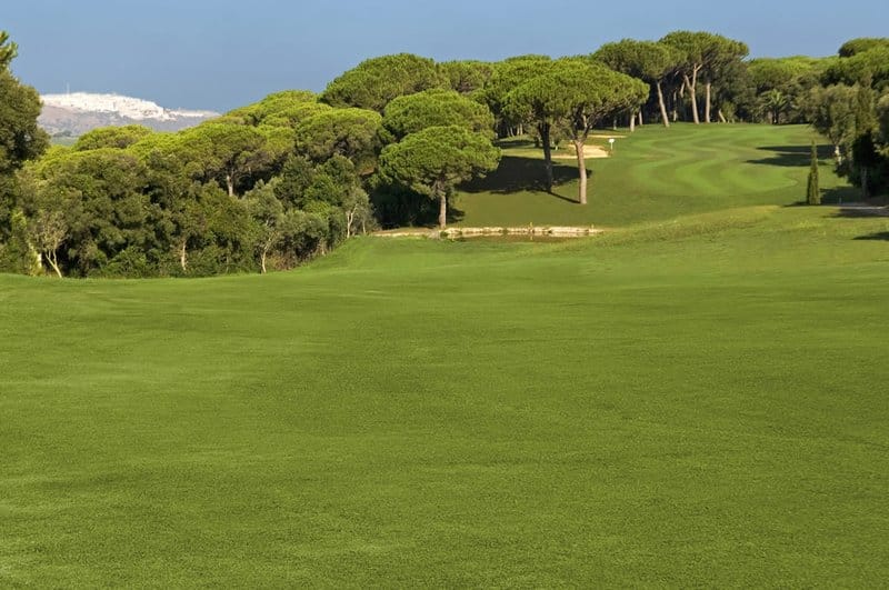 Dehesa Mmontenmedio Golf & Country Club - Fairway