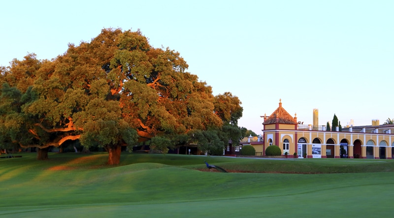 Dehesa Montenmedio Golf & Country Club -Fairway view
