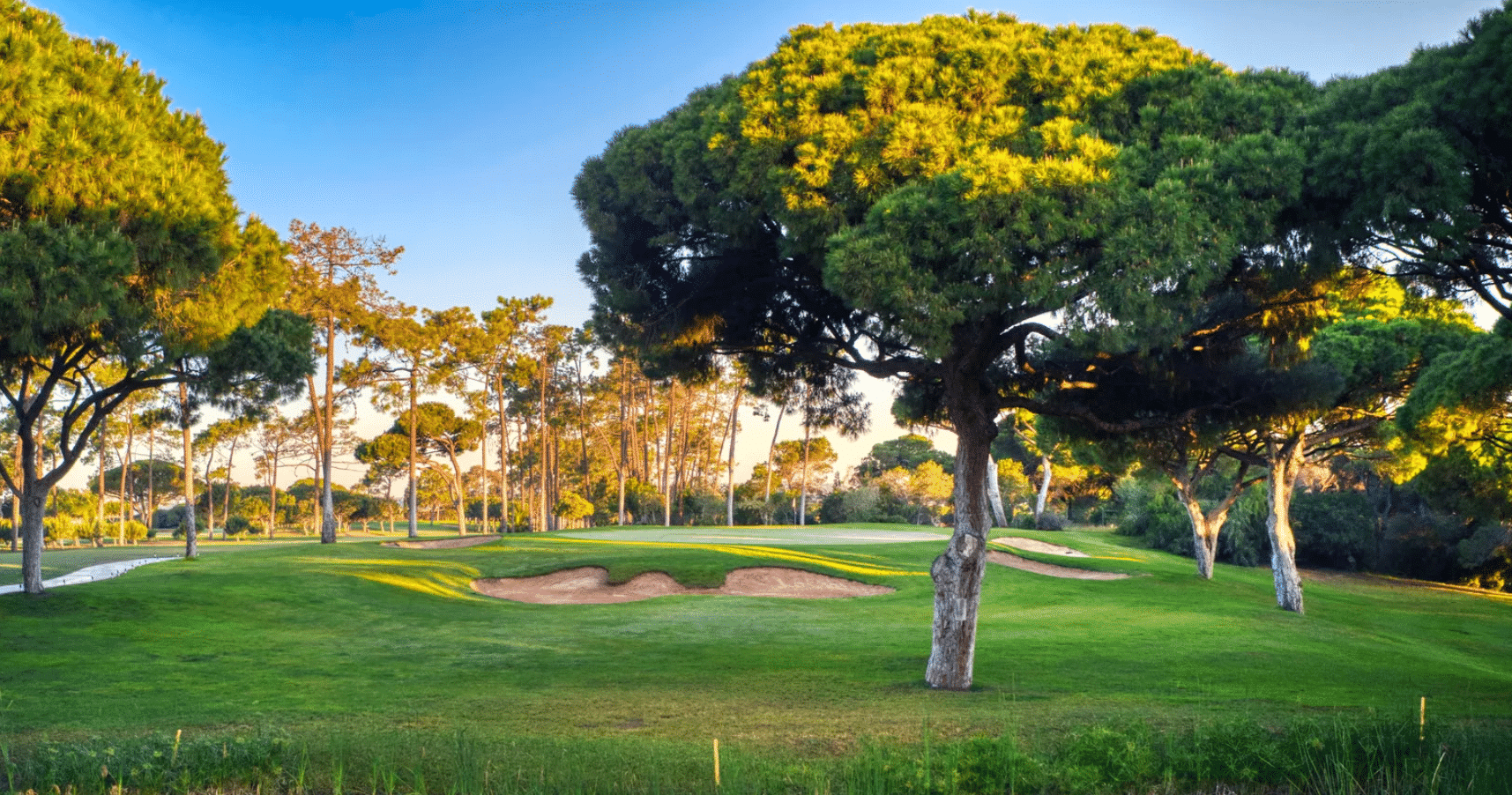 Dom Pedro Old Course -Bunker