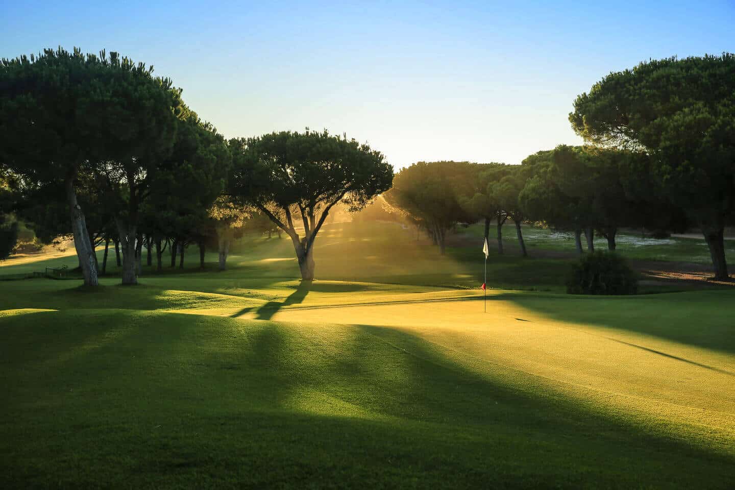 Dom Pedro Pinhal - Algarve