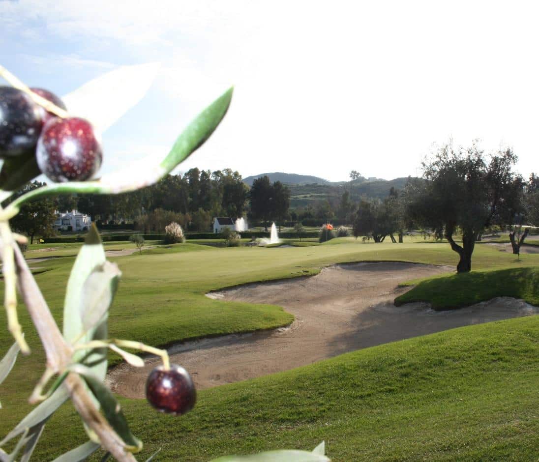 Mijas Los Olivos Golf Course - Spain