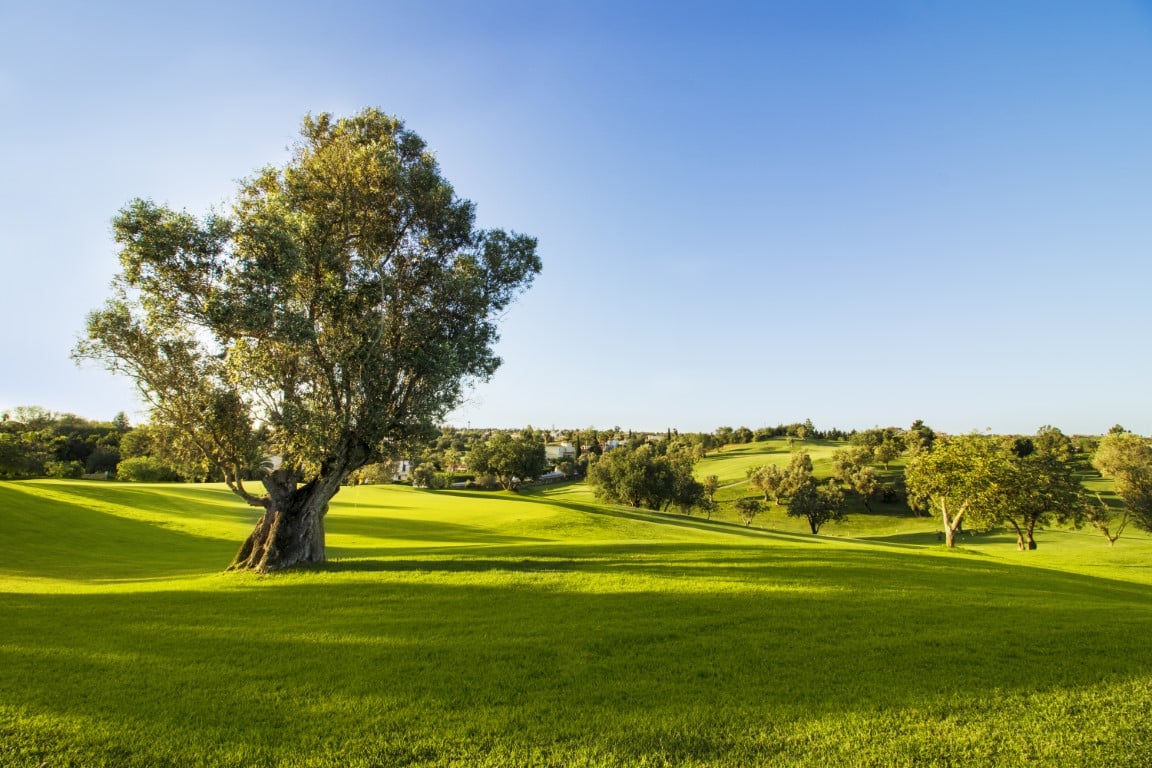 Gramacho Golf Course - Algarve