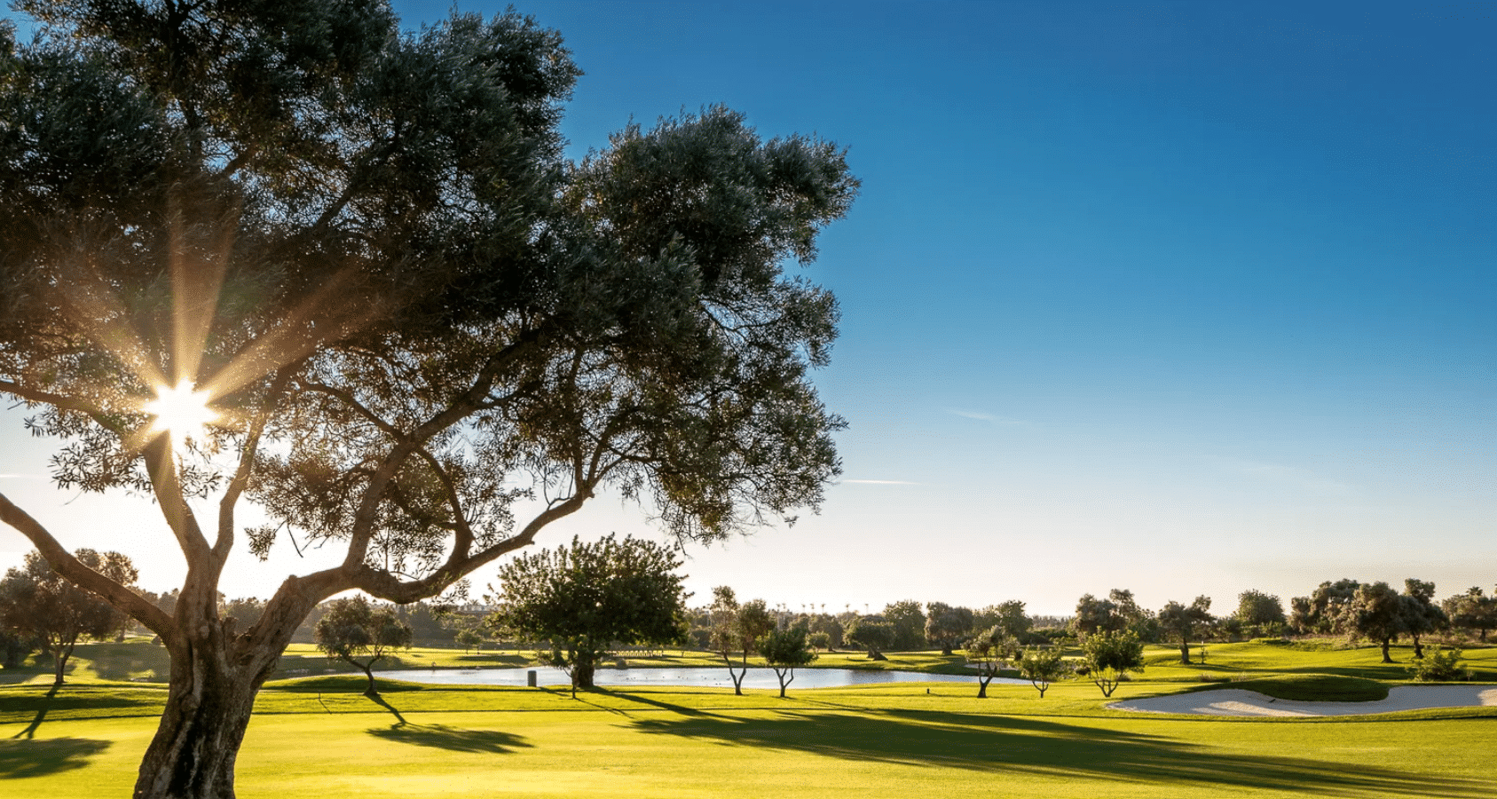 Quinta da Ria Golf Course - Algarve