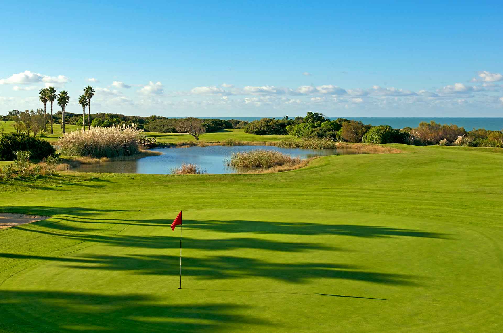 Iberostar Real Golf Novo Sancti Petri - Green