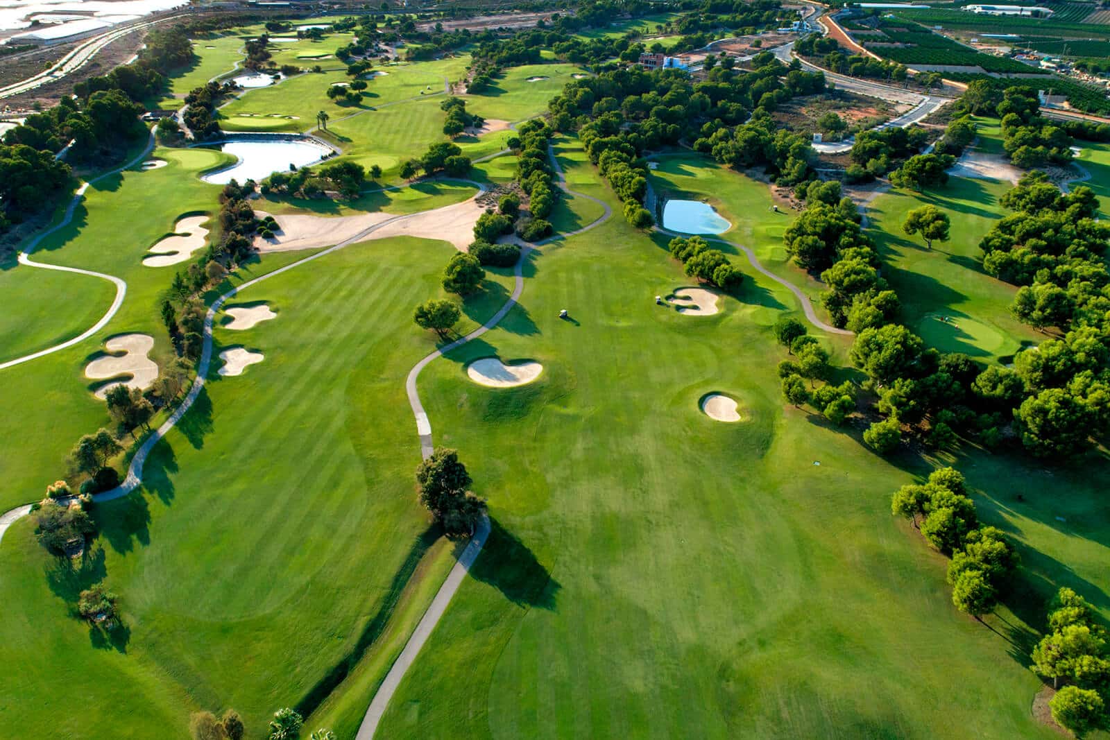 Lo Romero Golf Club - Alicante South