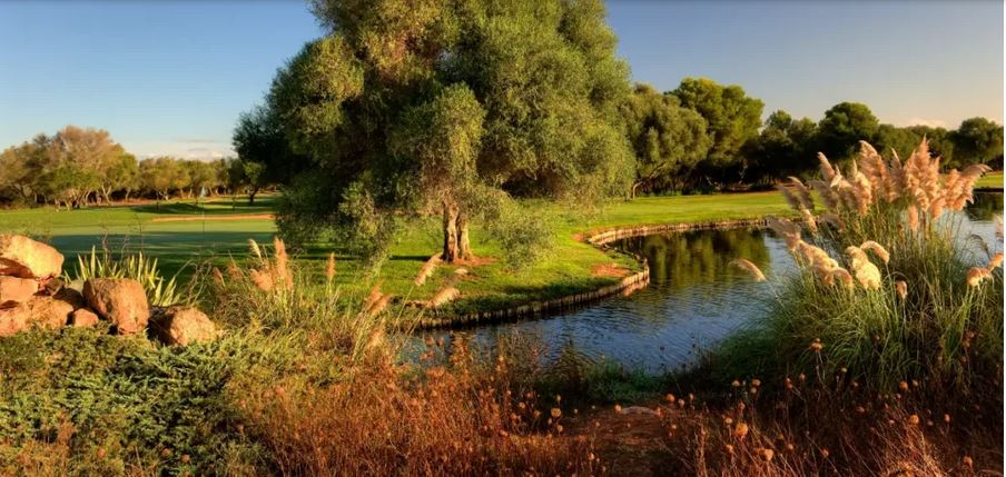 Son Antem East - Mallorca