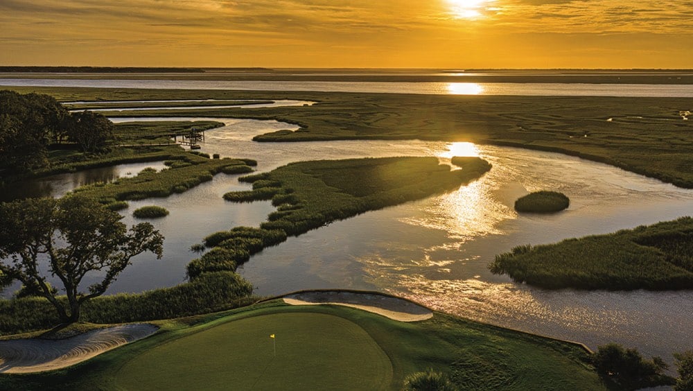 Oak marsh - Florida