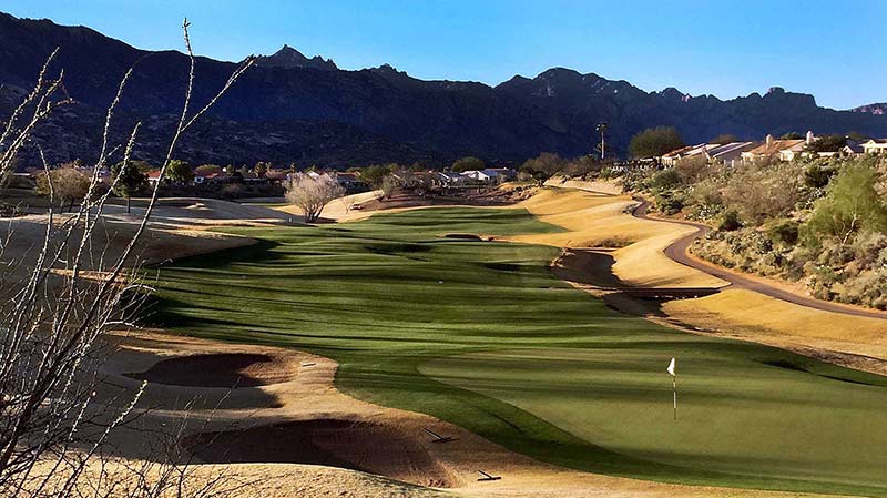 Golf Saddlebrooke - Floride