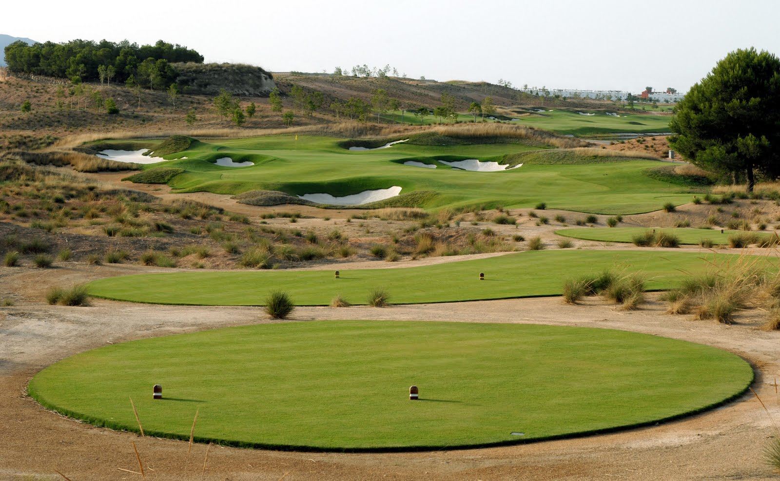 Alhama Signature Golf Club - Murcia