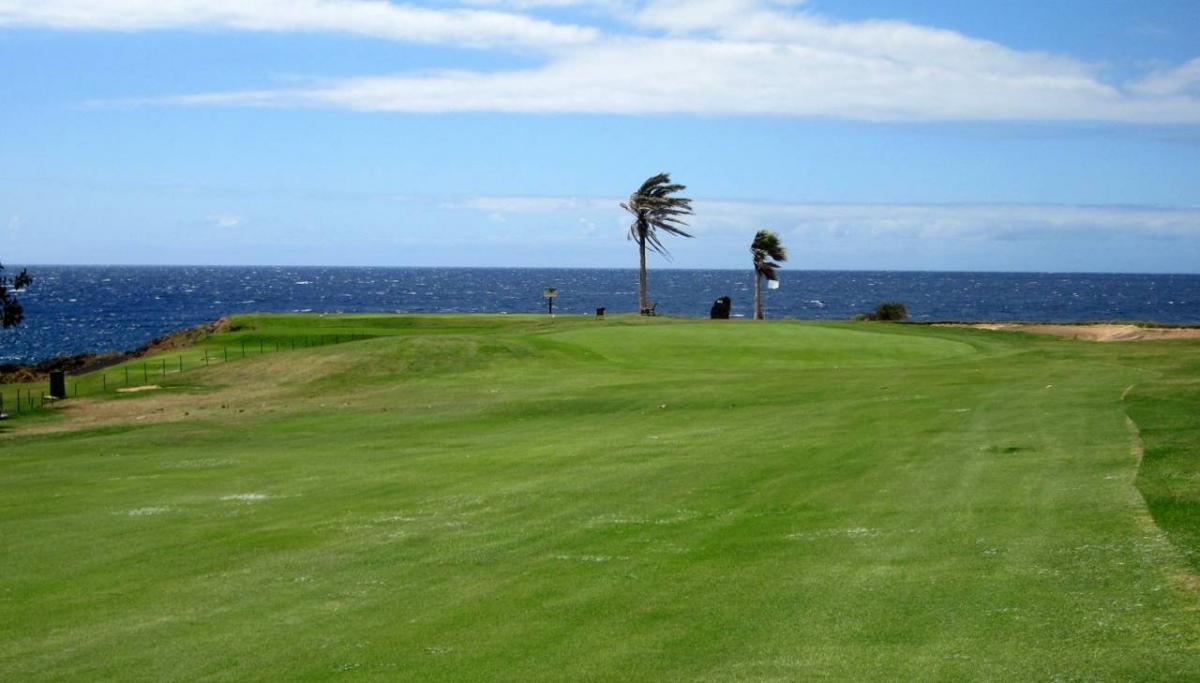 Amarilla Golf Course - Tenerife