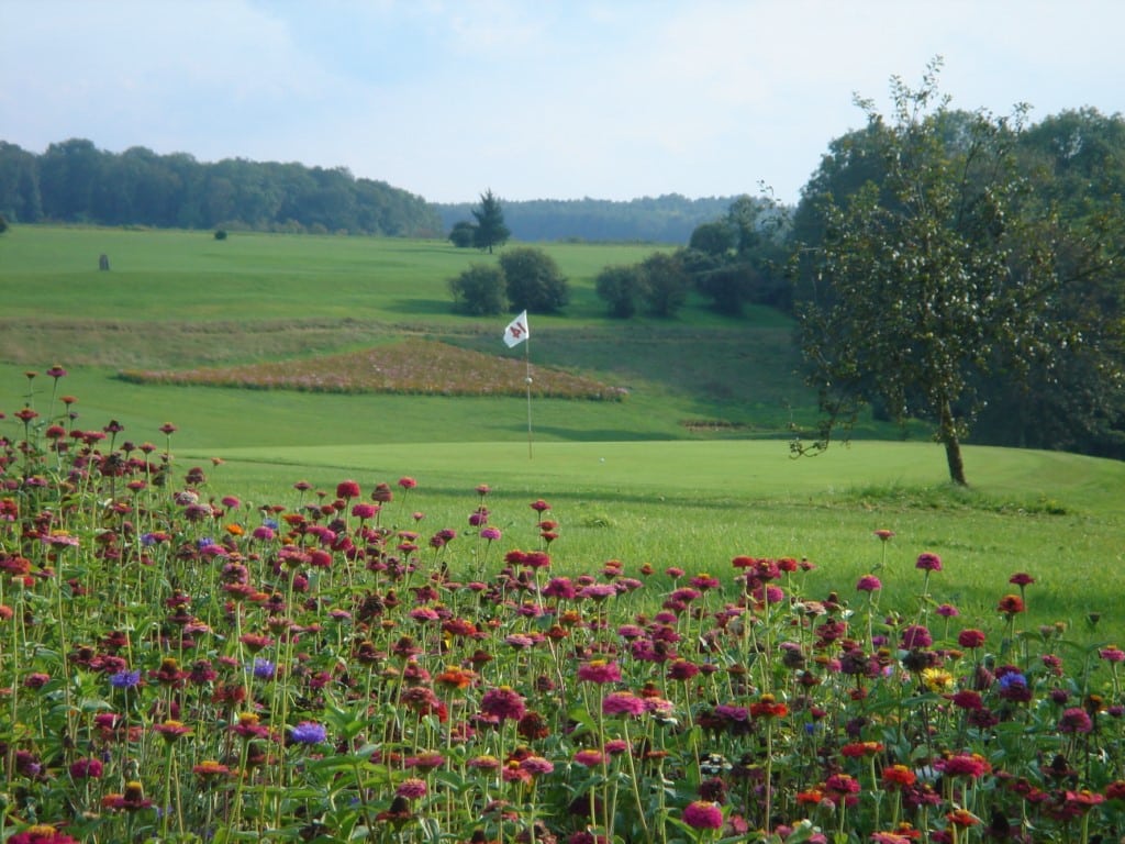 champagne - golf course