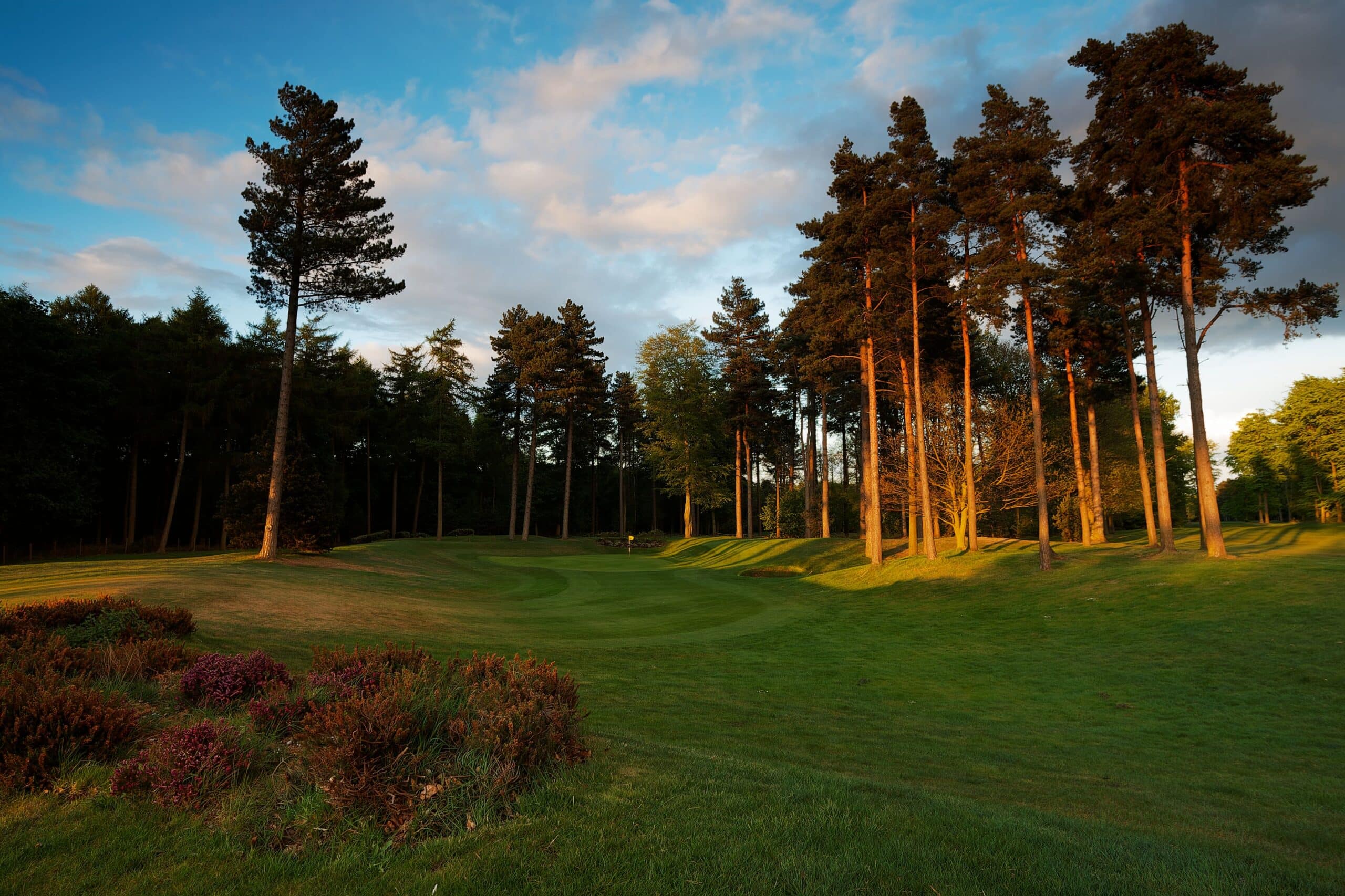 forest-green-golf