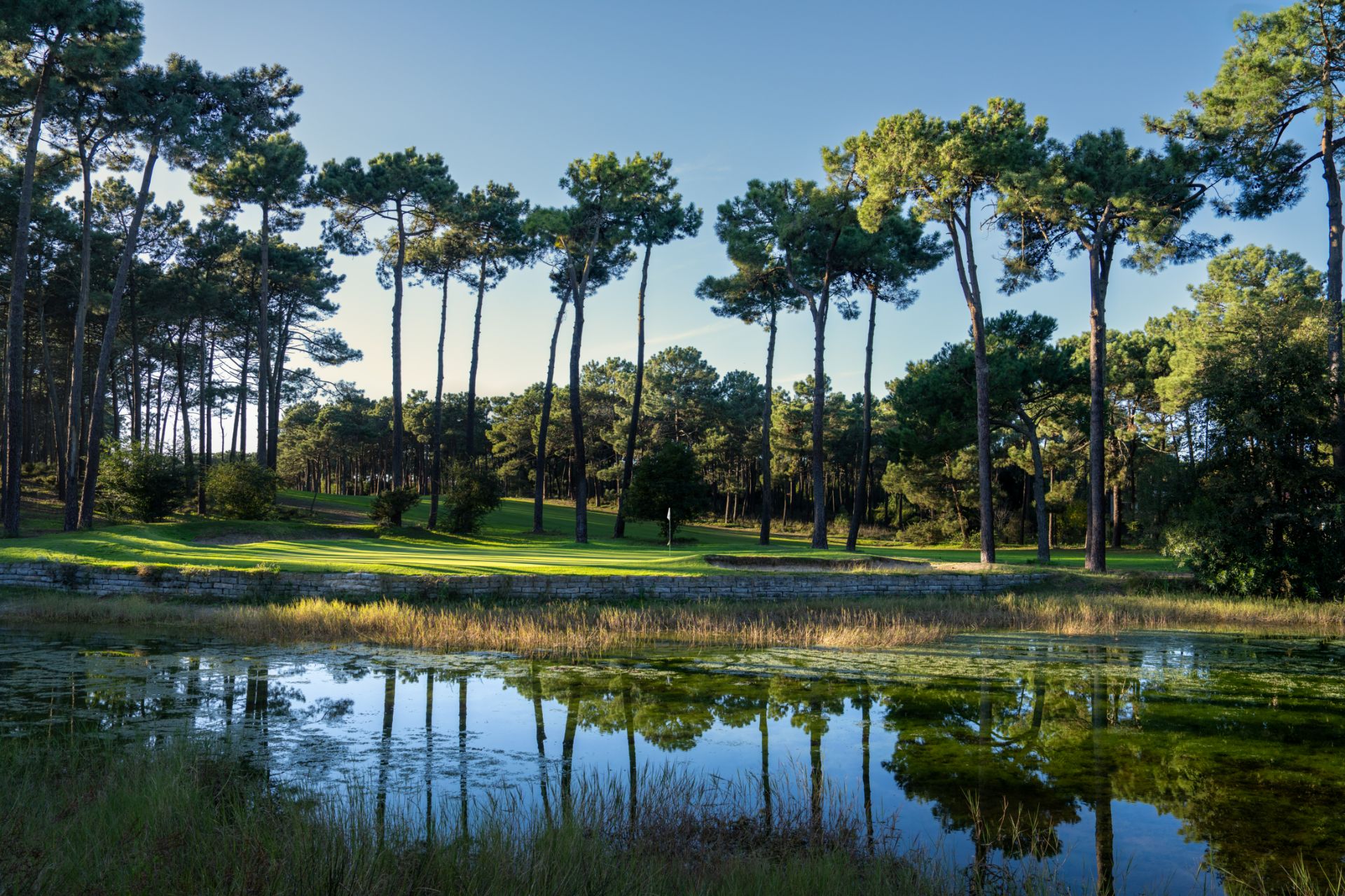 Aroeira Pines Golf Course - Lisbon