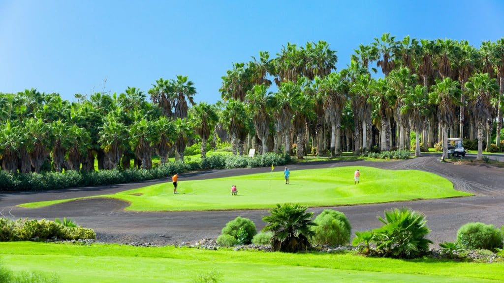 Del Sur Golf Course - Tenerife