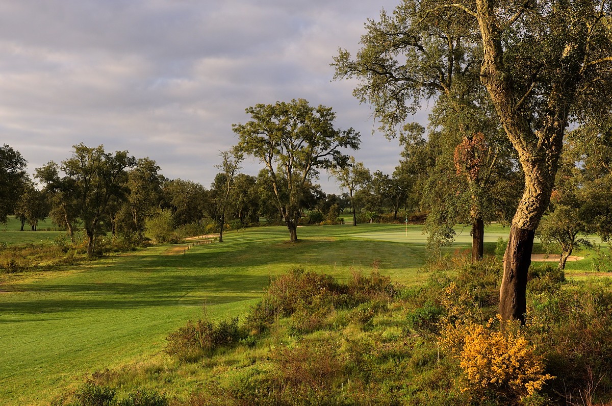 Ribagolfe Oaks Golf Course - Portugal