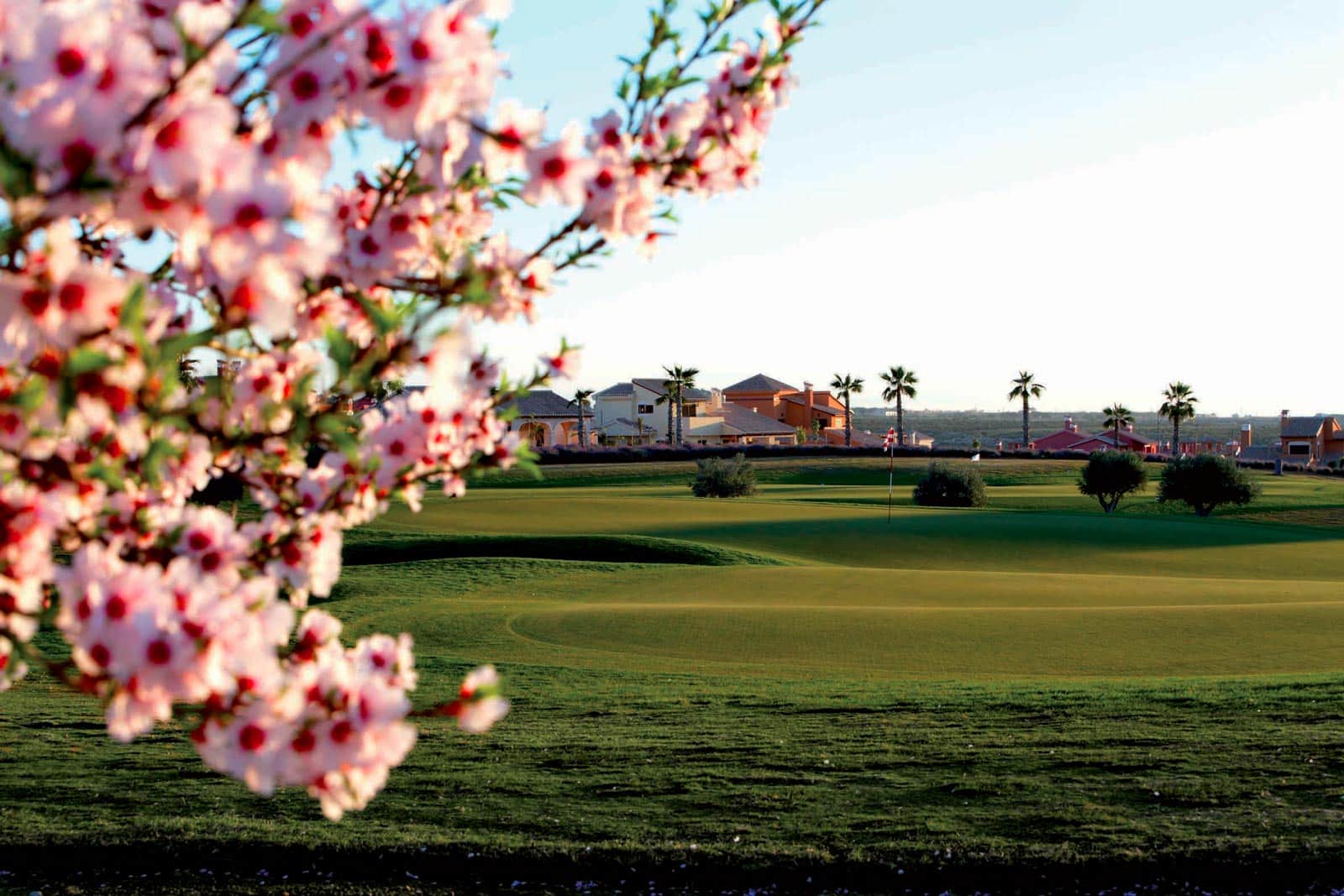 Hacienda del Alamo Golf Course - Murcia