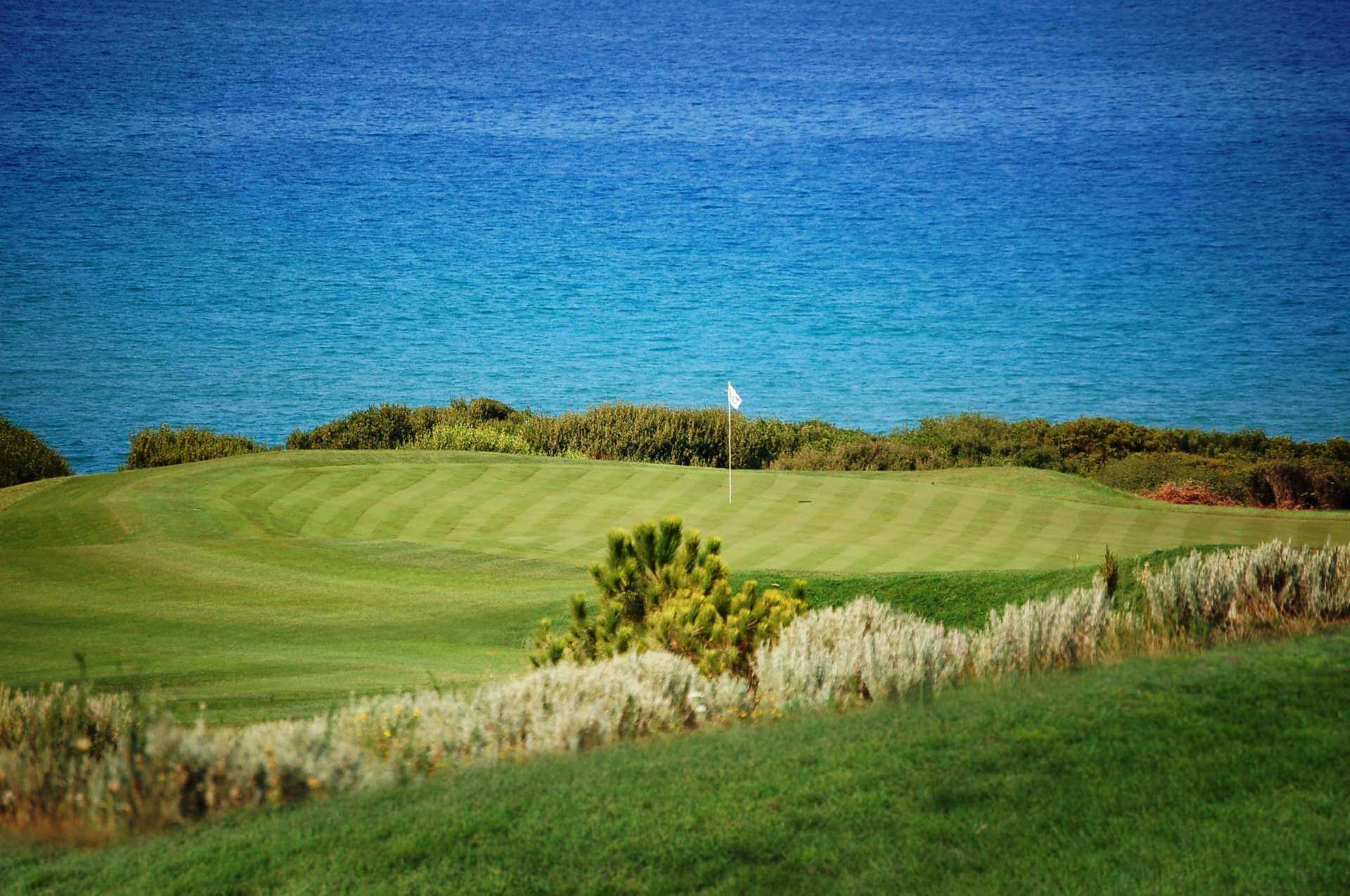 kenwick-park-golf