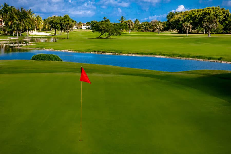 Cocotal Golf Course - Dominican Republic