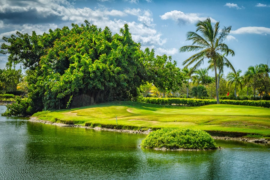 Cocotal Golf Course - Dominican Republic