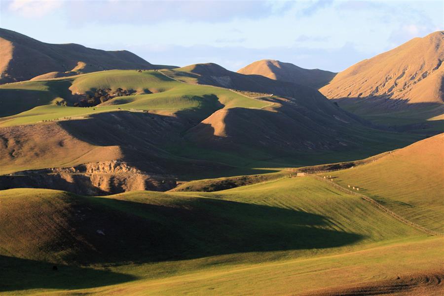 Cape Kidnappers Golf Course - New Zealand
