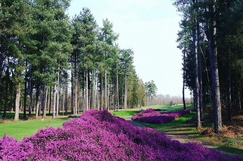 Champ de Bataille Golf Course - France