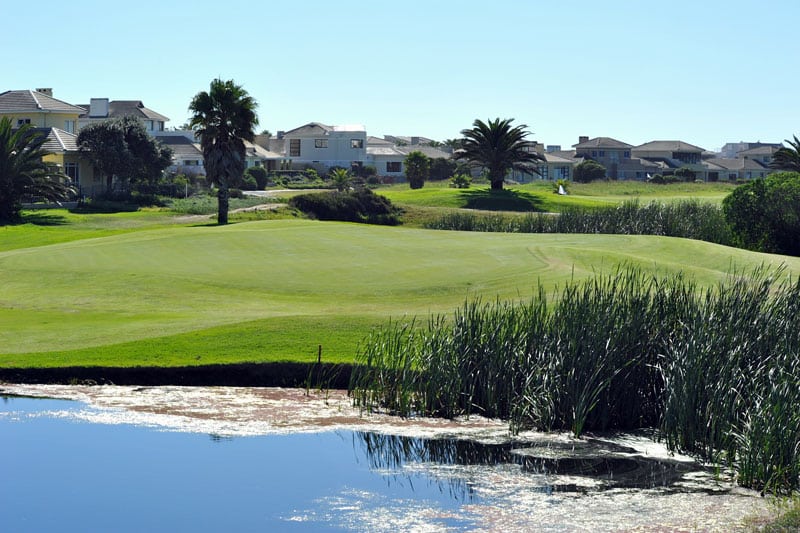 Milnerton Golf Course - South Africa