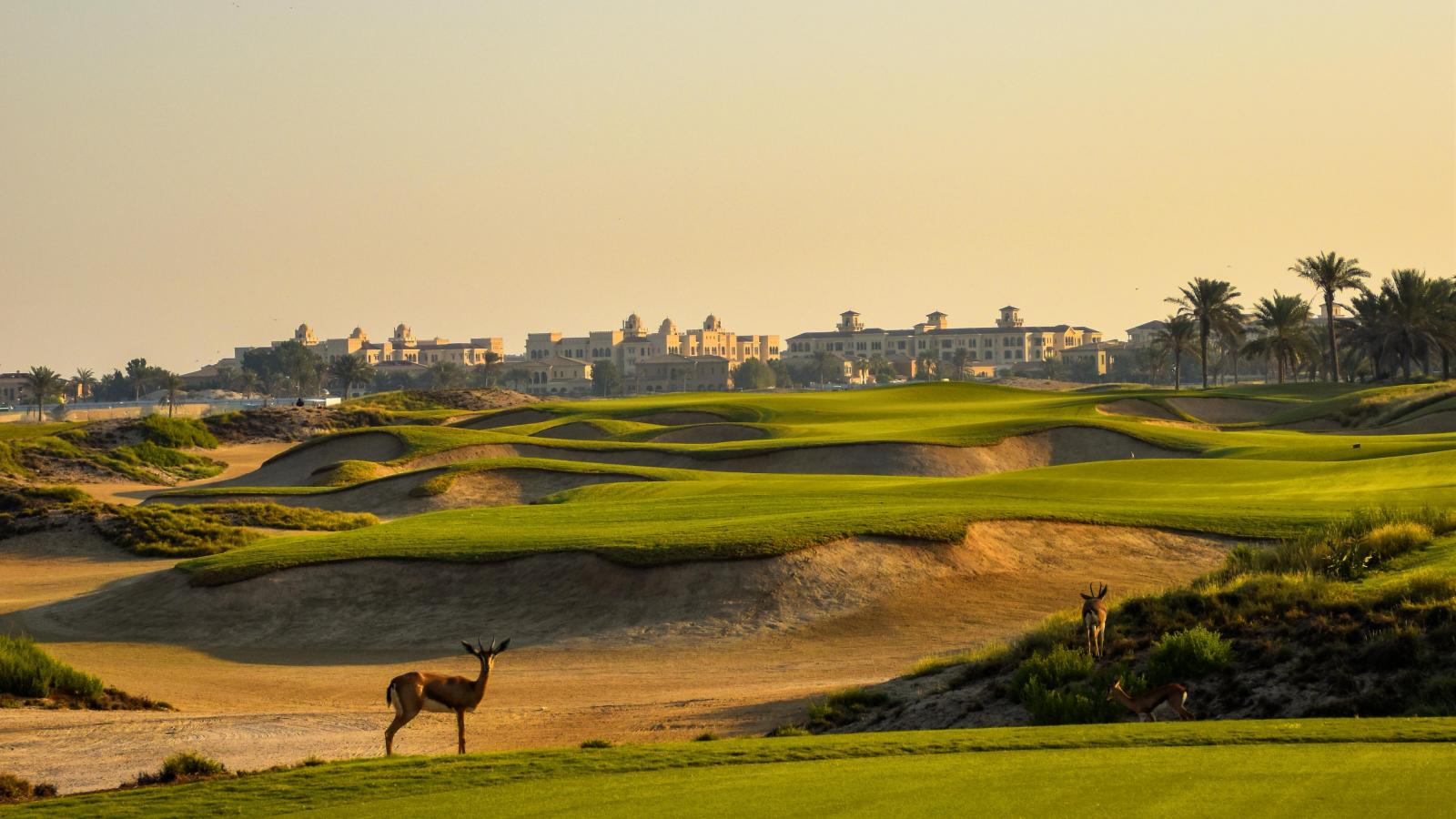 Saadiyat Beach Golf Course - Abu Dhabi