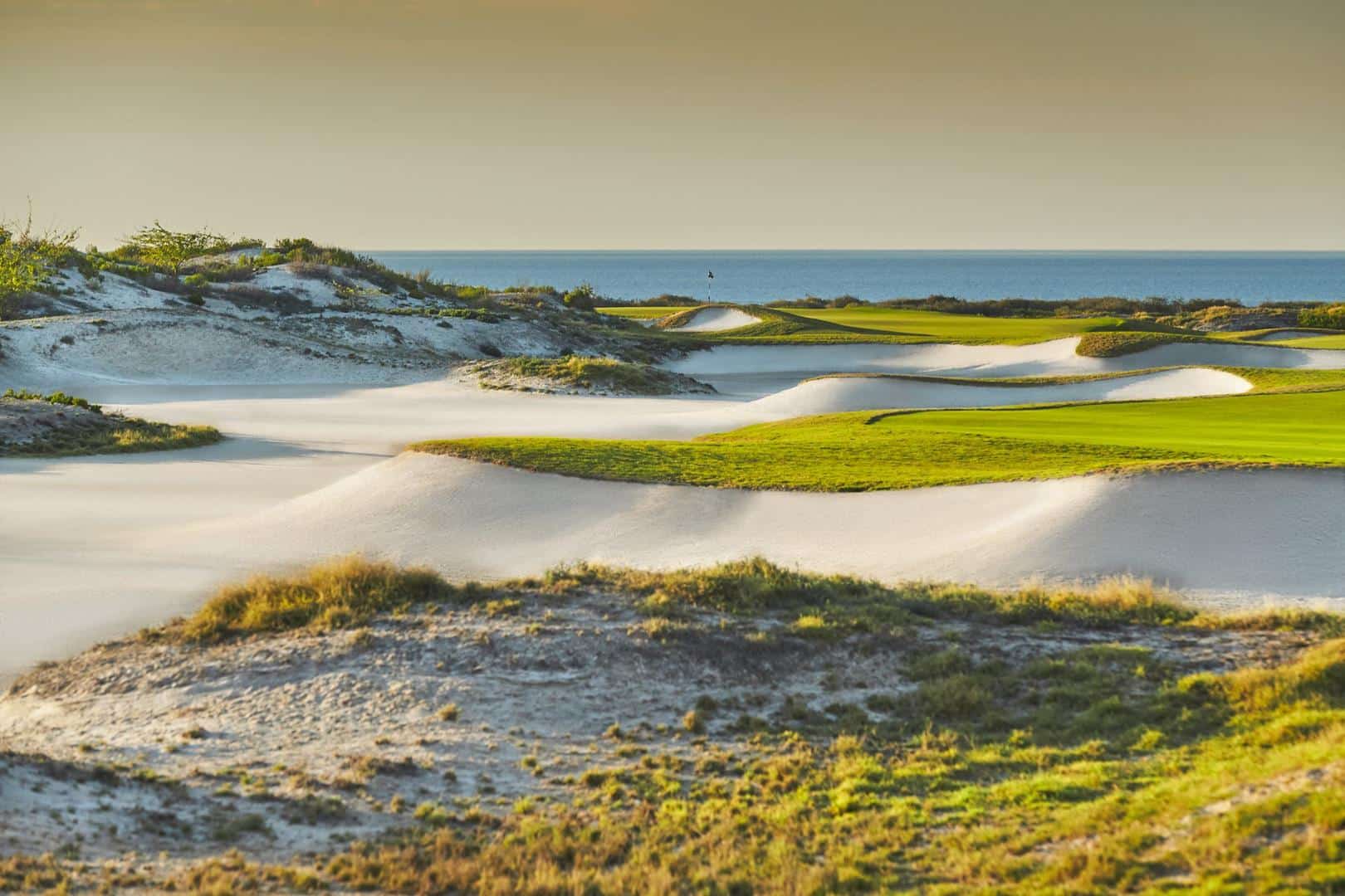 Saadiyat Beach Golf Course - Abu Dhabi