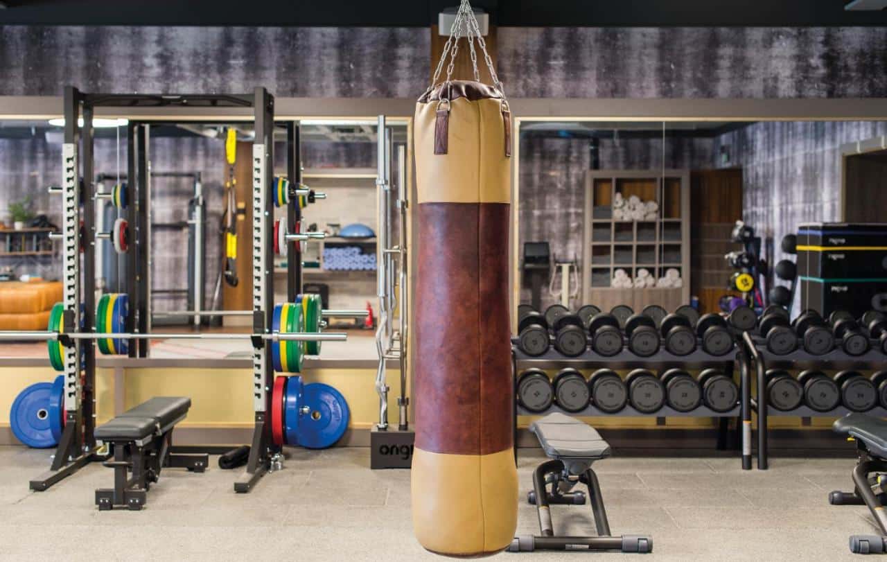 South Lodge Country House Hotel - gym