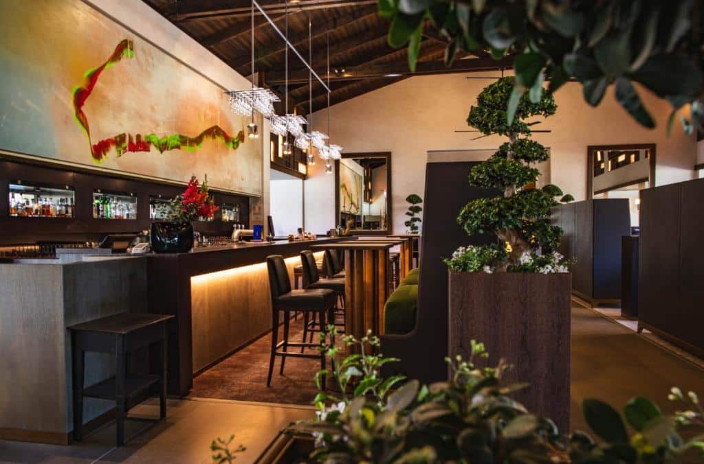 Terre Blanche Hotel Spa Golf Resort - Bar