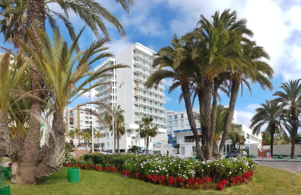 Hotel Alay - Spain
