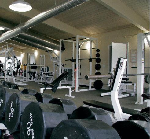 Saddlebrook Resort Tampa - gym