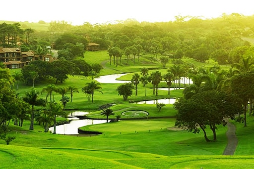 Selborne golf course - South Africa
