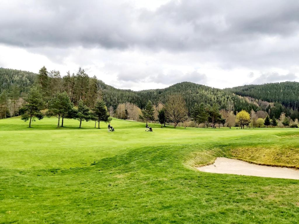 Sokolov golf course - Czech Republic