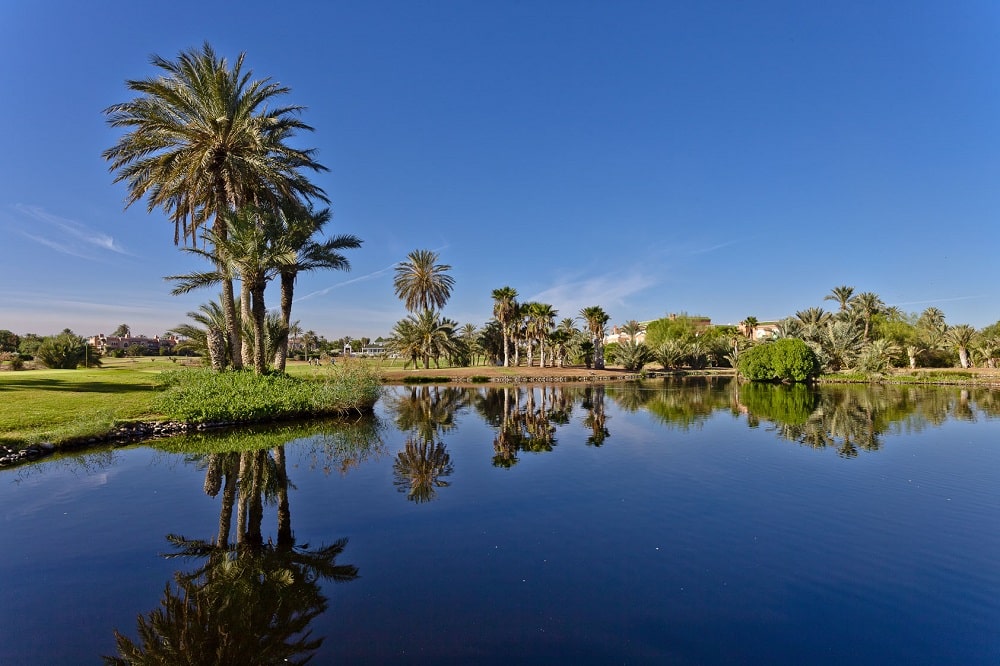 PickAlbatros Hotel Du Golf Marrakech Golf view